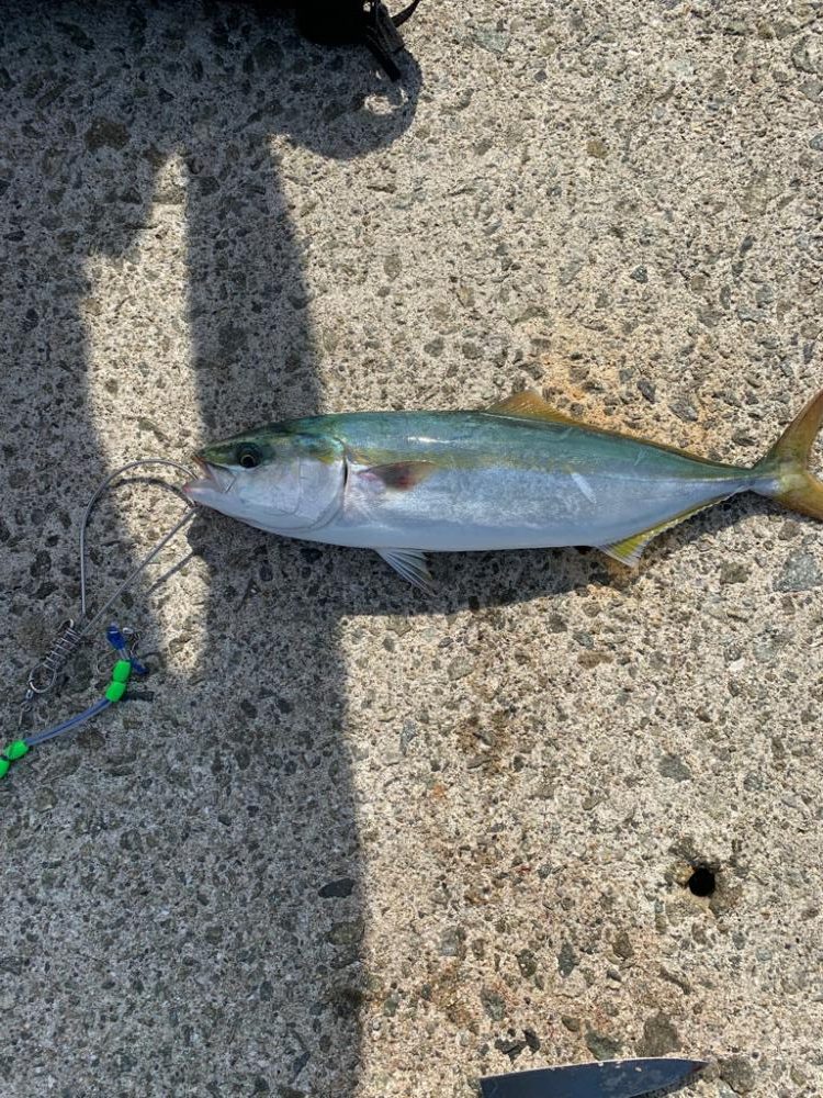 初の複数安打！