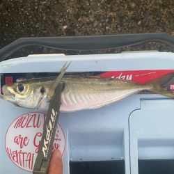 マズメチャレンジ