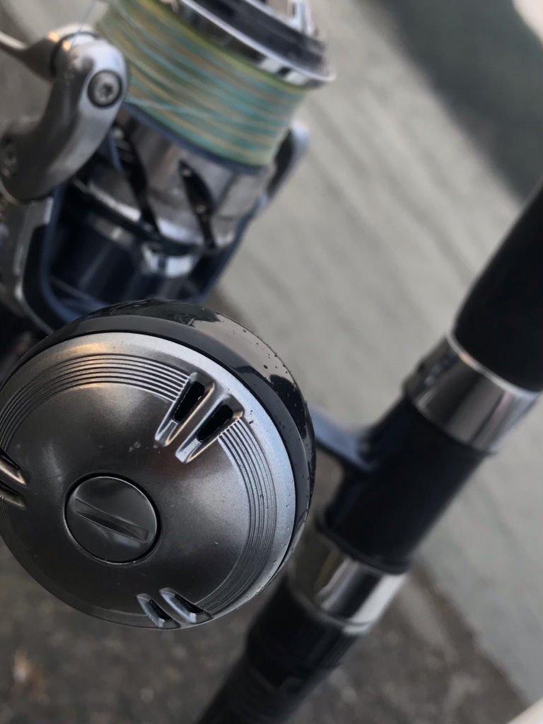 待望のタチウオ釣り