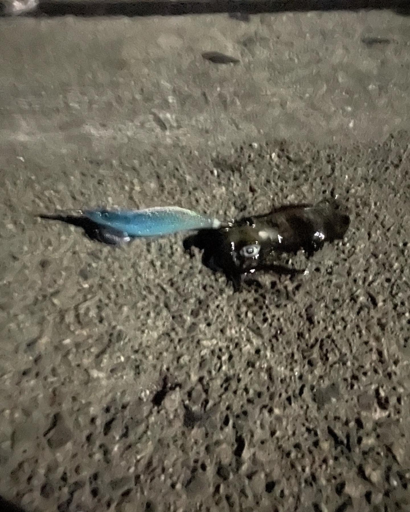 いつもの場所で