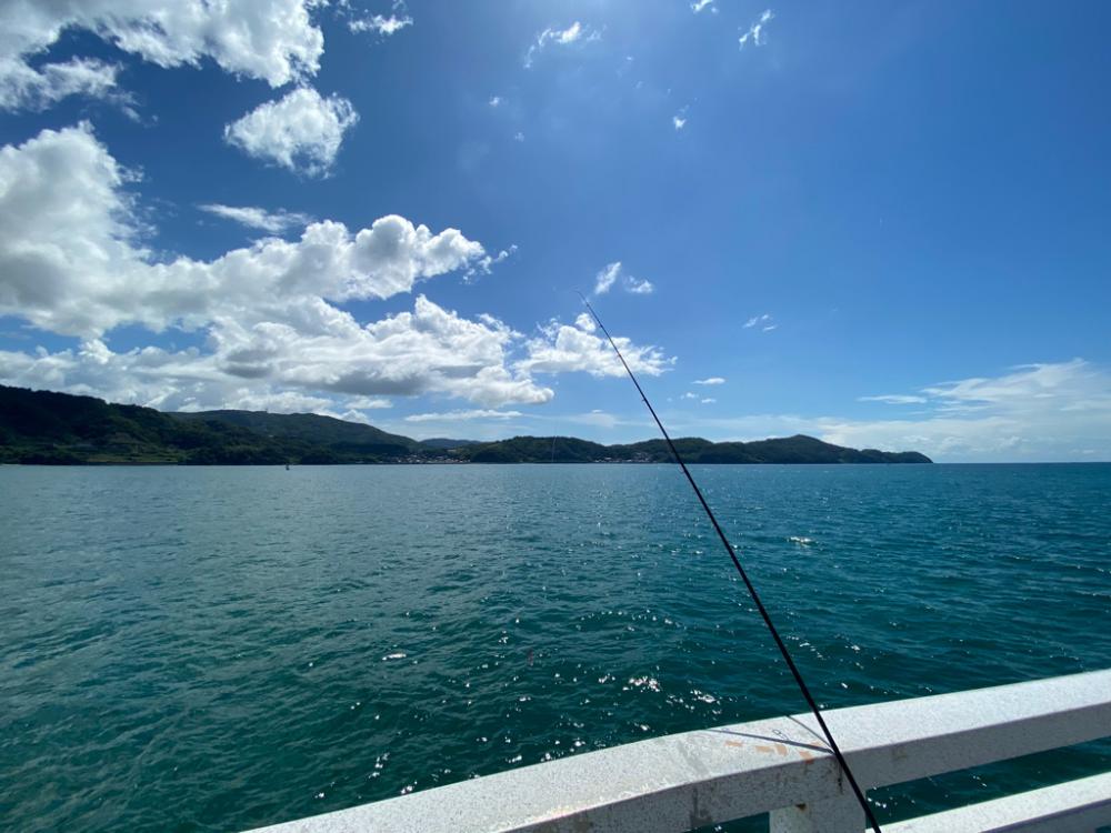 陸っぱり今期初タチウオ