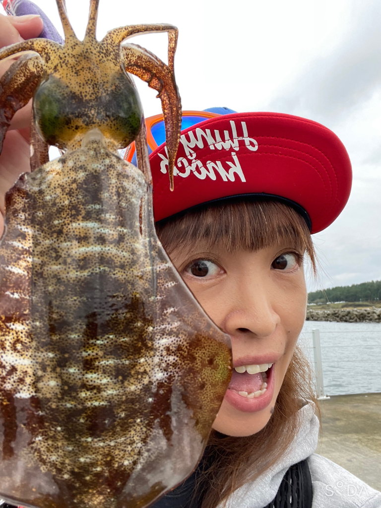 アオリイカエギング⋆*🦑
