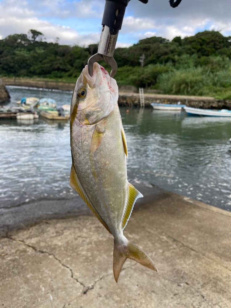 ライトショアジギング