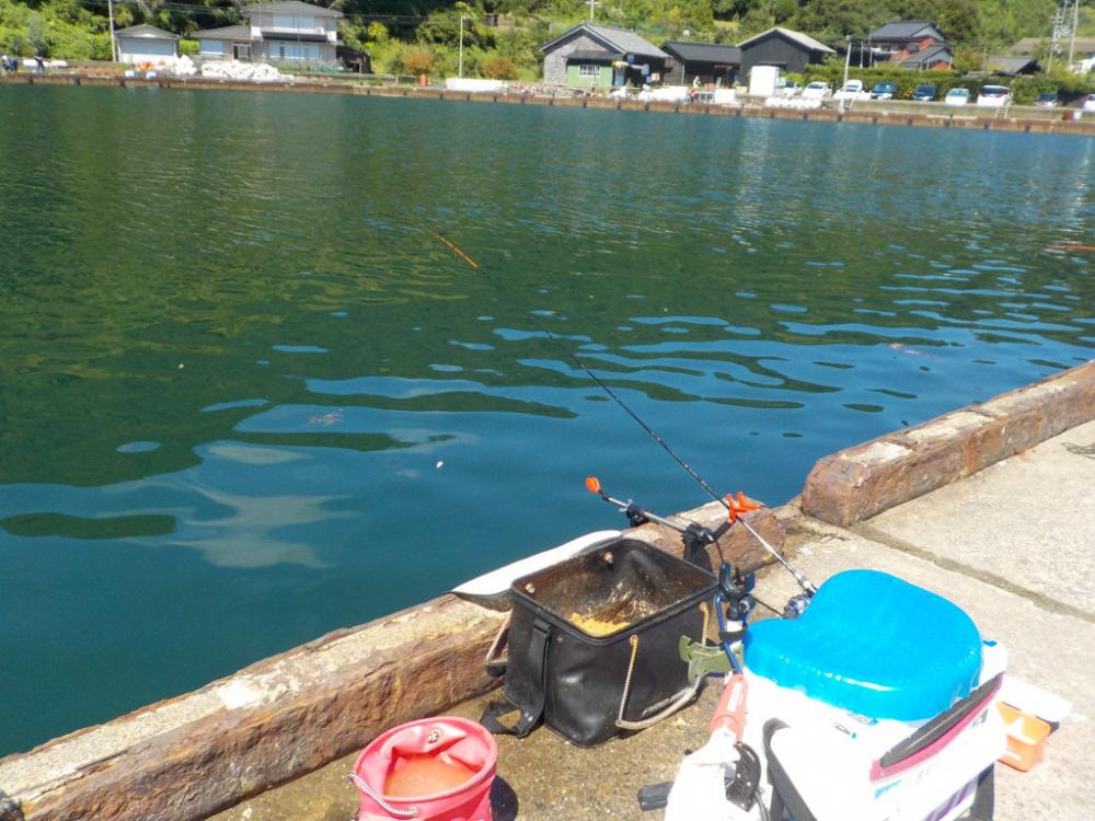 餌取りの犯人は？