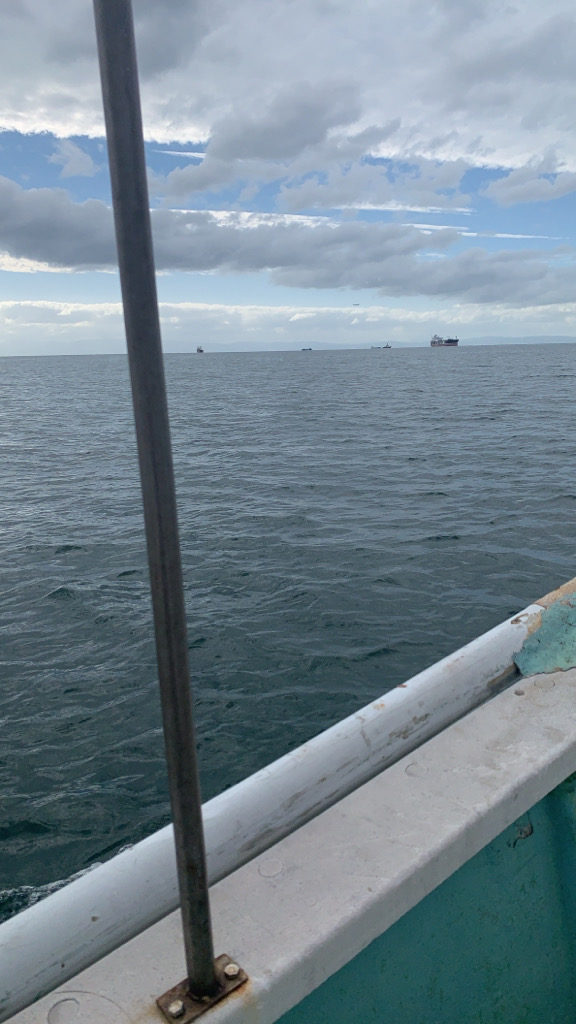 台風一過の状況…