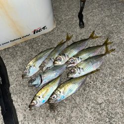 スッキリアジング