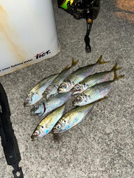 スッキリアジング