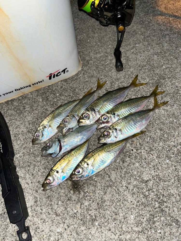 スッキリアジング