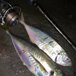 フロートアジング