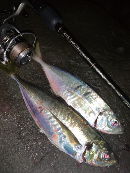 フロートアジング