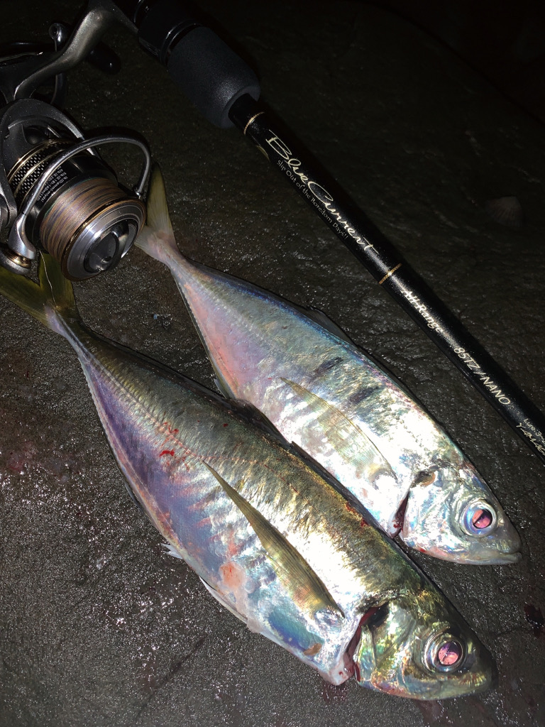 フロートアジング