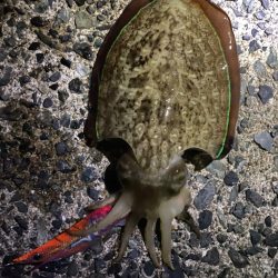 8か月ぶりの釣行