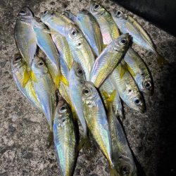 タイムアタック