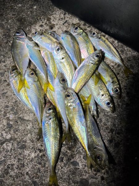 タイムアタック