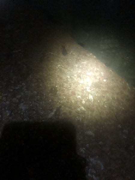 【秋イカ好調】京丹後〜伊根湾