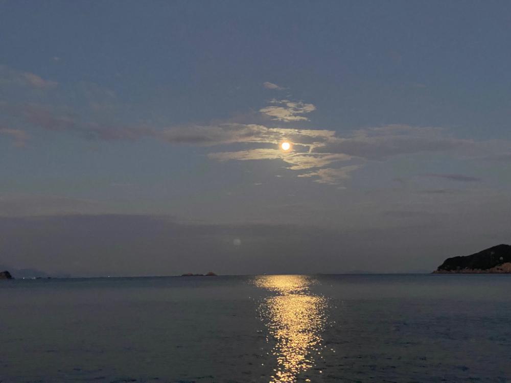 離島地磯エギング