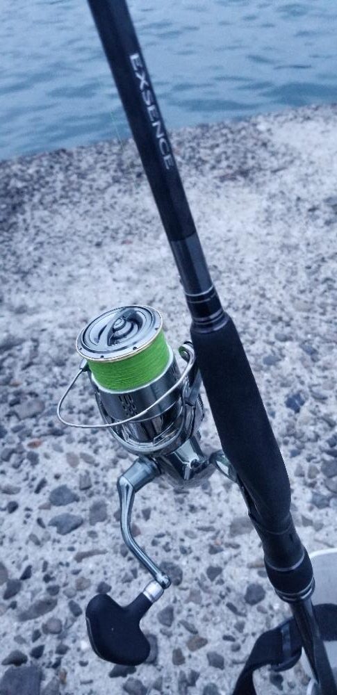 タチウオ大漁でーす！