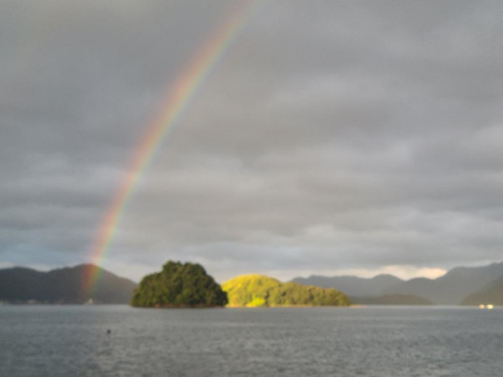 五目釣り達成！