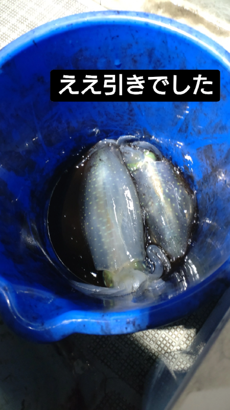 ティップラン2回目!