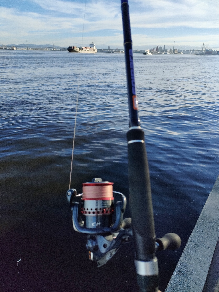 南港はサバだけ