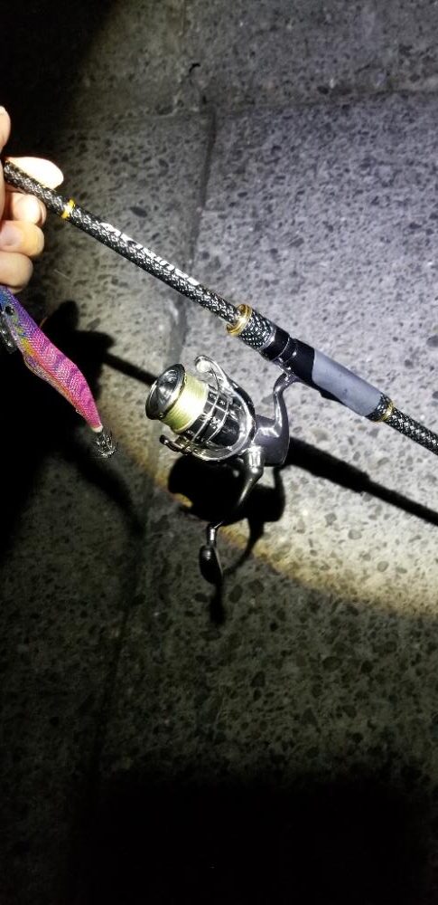 夕マズメのエギング　今季最大