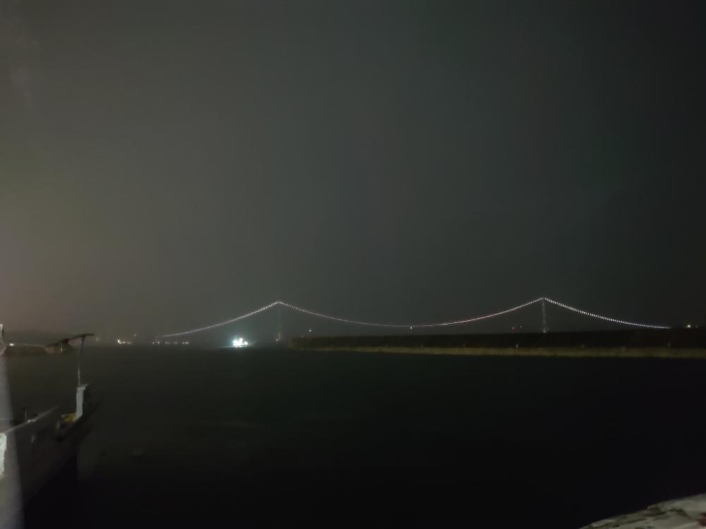 エギングリベンジ釣行