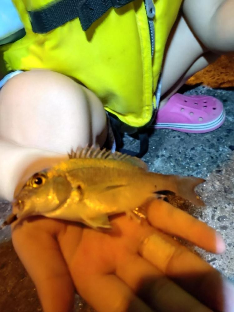 秋の夜の家族サービス