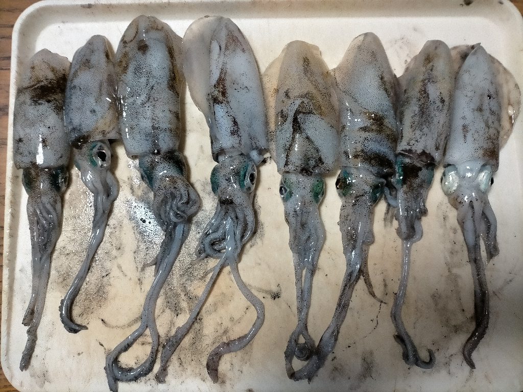 濁りが心配でしたがなんとか8杯