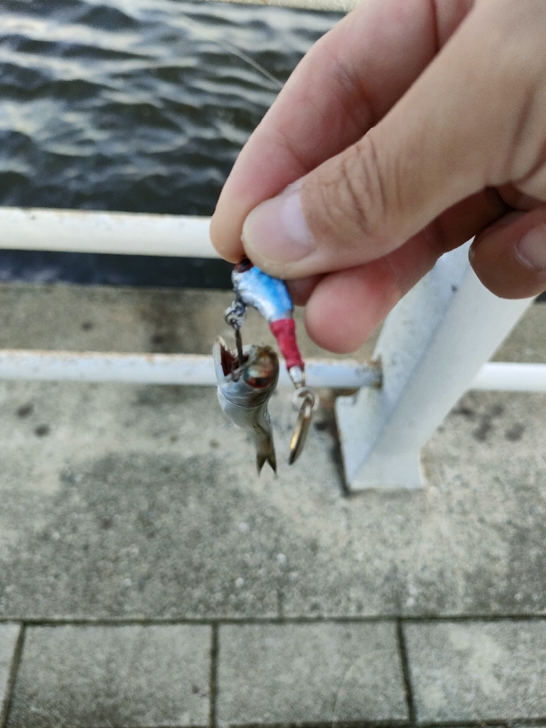 ダイソー縛りでサバ爆