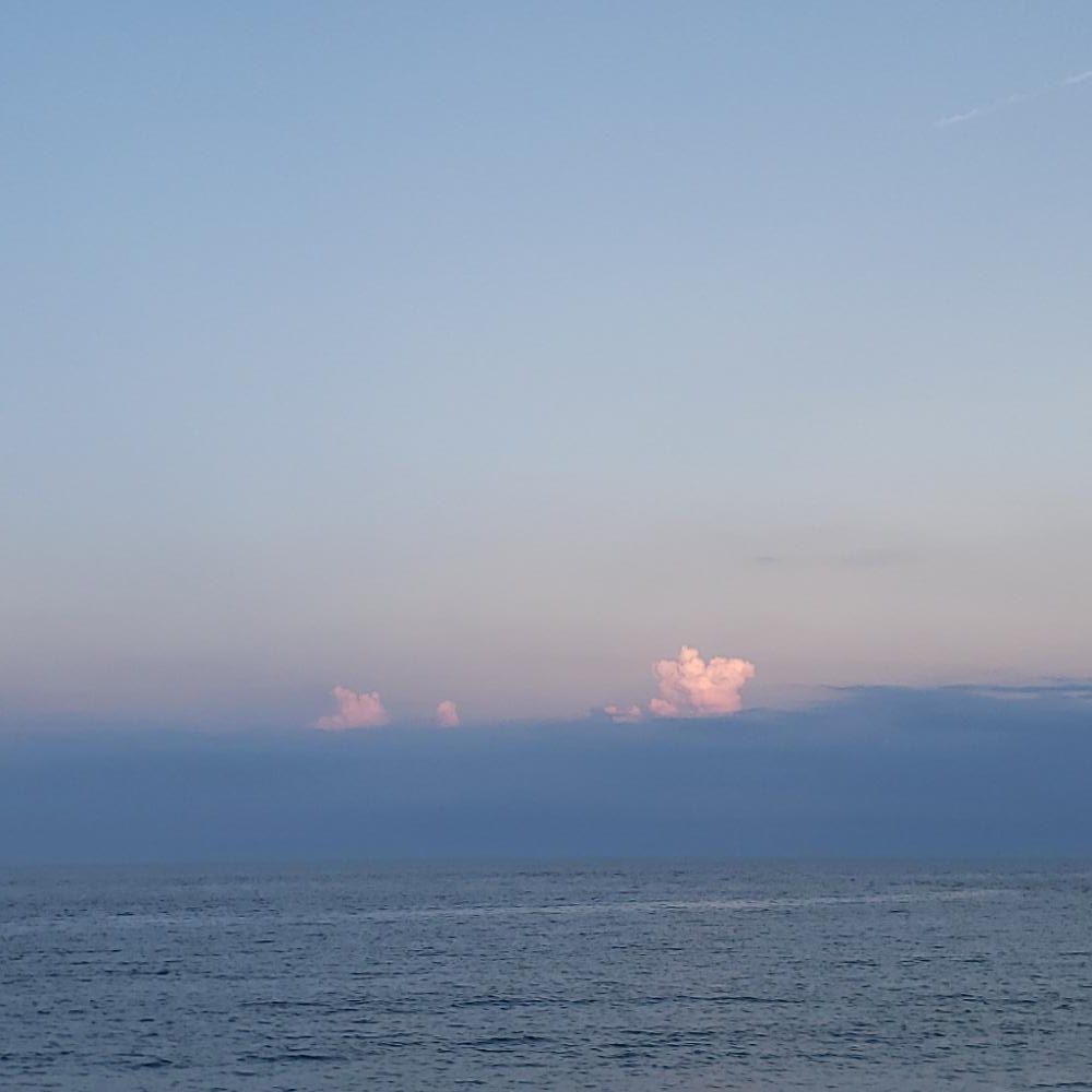 おはようツバス君!