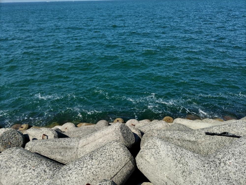 時間があったので、ちょっと青物でも