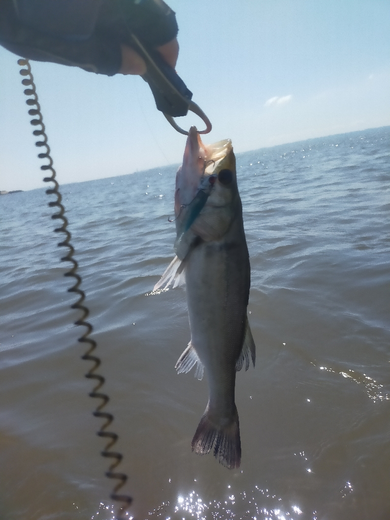 コアマンの夏デイゲーム!