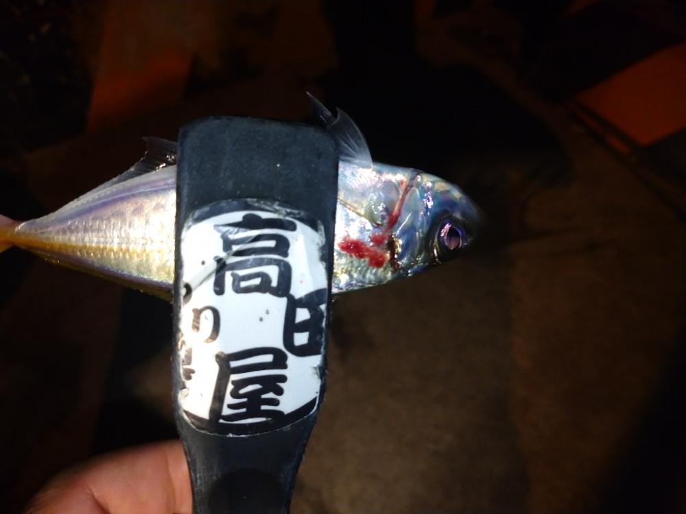 今夜はやや渋目