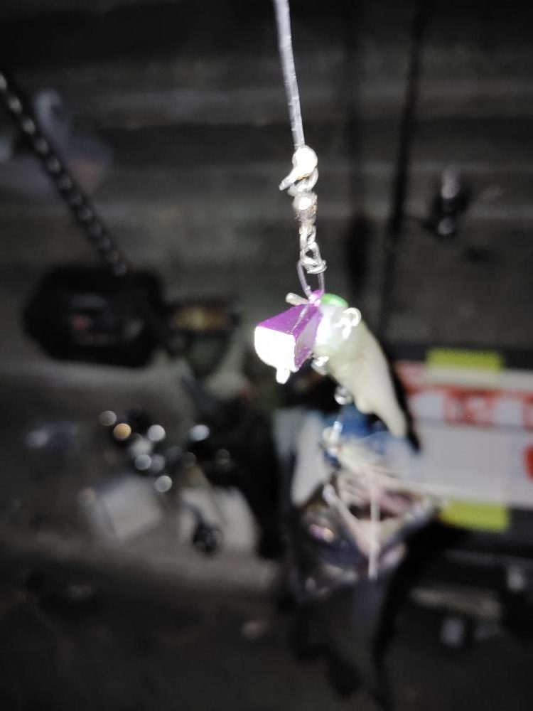 サーベリング@マリーナシティ