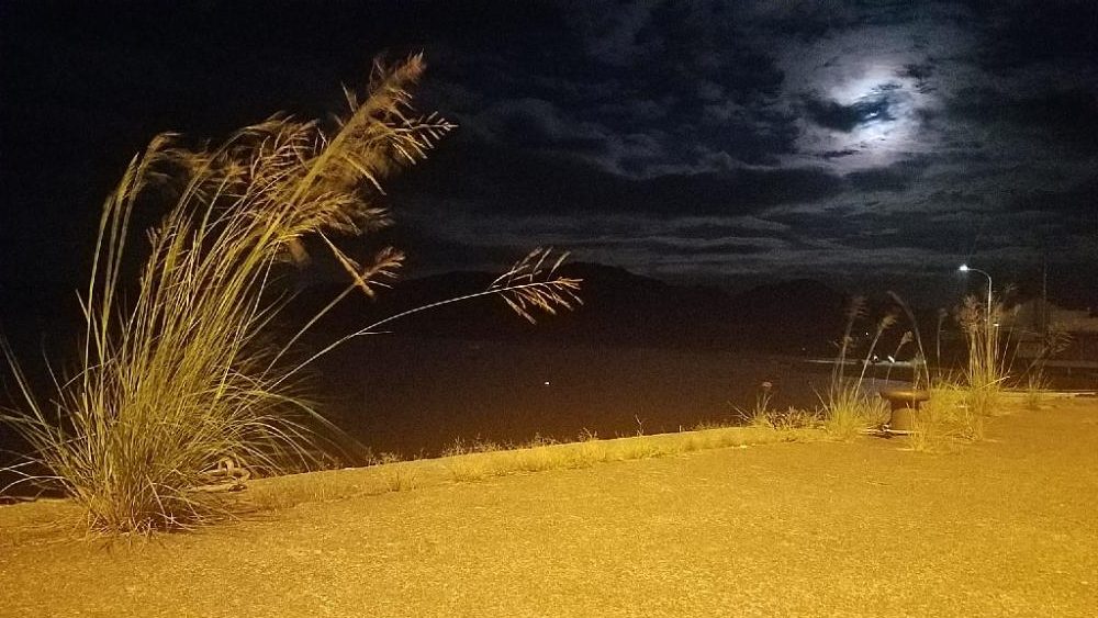 入れ食いだーヽ(o´3`o)ノ