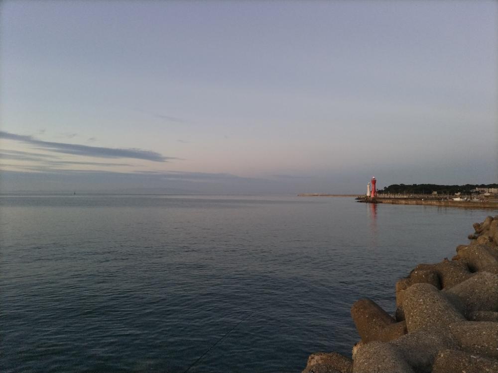 タチウオを求めて