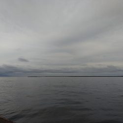 ツバス、太刀魚