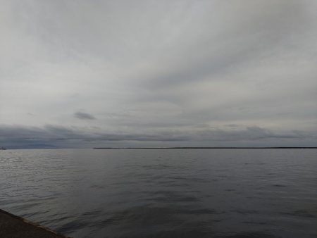 ツバス、太刀魚