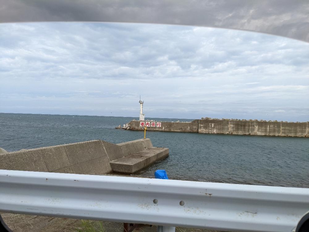 爆風エギング11杯