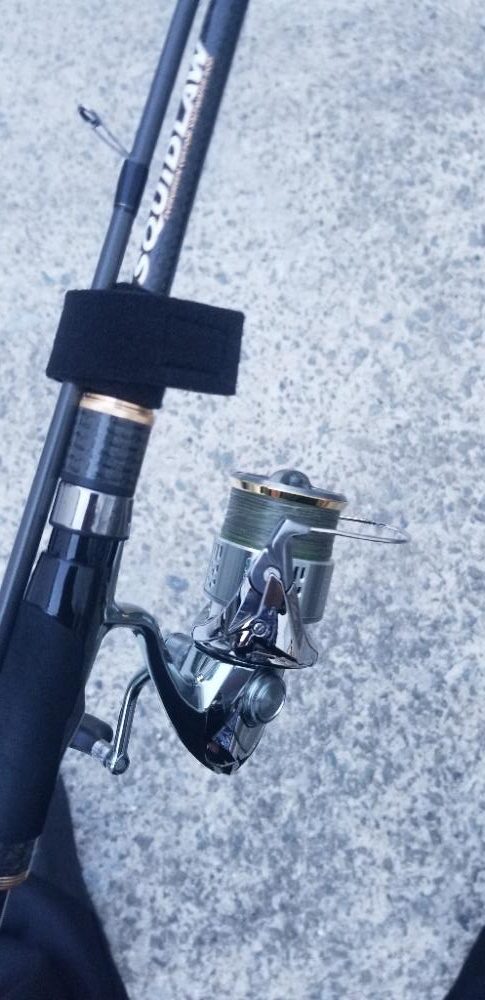 御坊でエギング