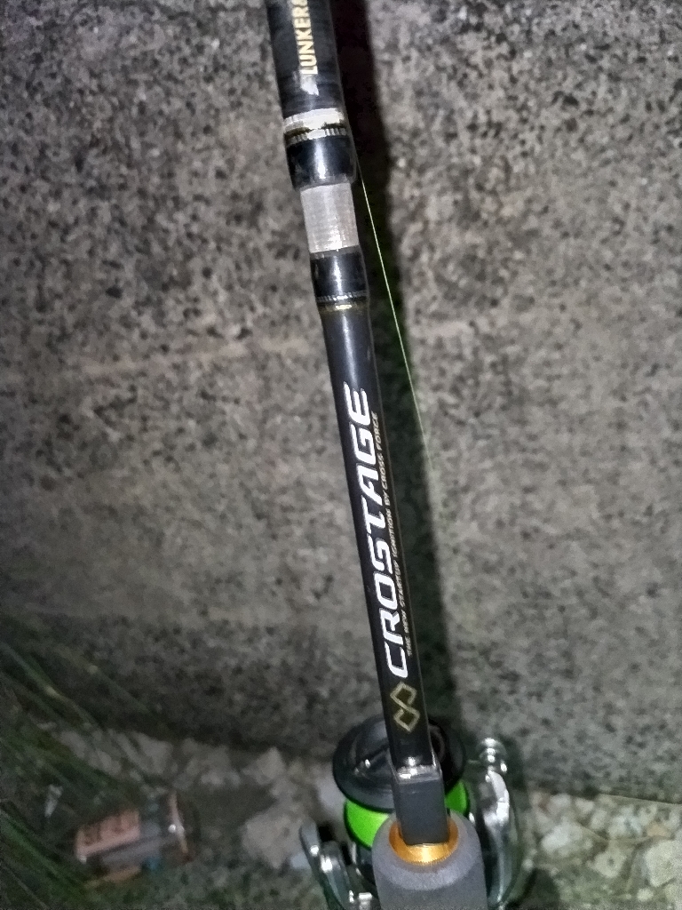 アジがダブルヒット!