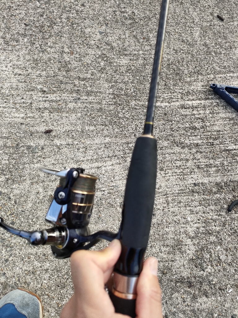 ショアジギング