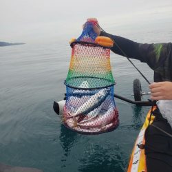 どうせタイラバ落とすなら…