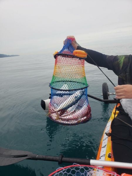 どうせタイラバ落とすなら…