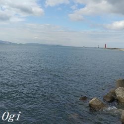 中島埠頭でカワハギ11枚！