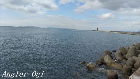 中島埠頭でカワハギ11枚！