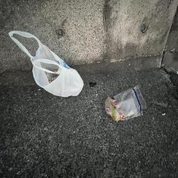 清掃活動：エサだらけ