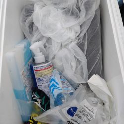 清掃活動：岩国沖の開幕？！