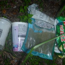 清掃活動：九月バス