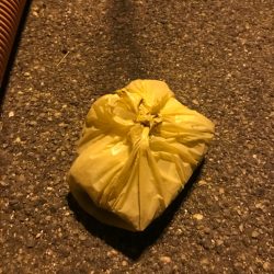 清掃活動：アジング&ライトエギング…